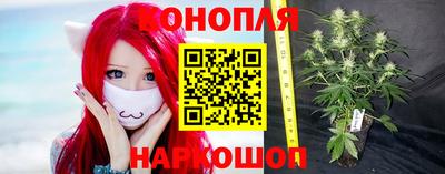гидра Белореченск