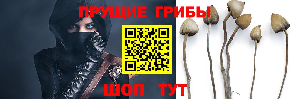 Псилоцибиновые грибы мухоморы  закладка  Алексин  Псилоцибиновые грибы Cubensis  Вход с VPN 